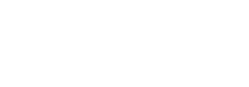 fashionista
